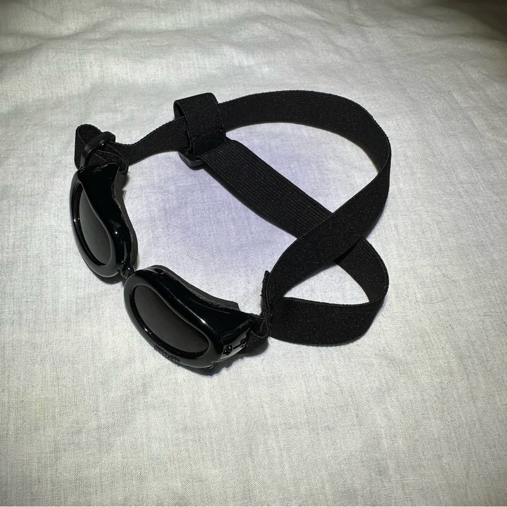 COPY - Dog goggles black